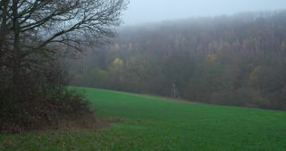Link to Video | landscape, Saarland, autumn, Germany, mist, forest, Marpingen, St. Wendel