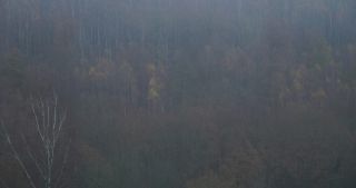 Link to Video | landscape, Saarland, autumn, Germany, mist, forest, Marpingen, St. Wendel