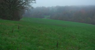 Link to Video | landscape, tree, Saarland, autumn, Germany, field, agricultural land, Marpingen, St. Wendel