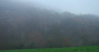 Link to Video | landscape, Saarland, autumn, Germany, mist, forest, Marpingen, St. Wendel