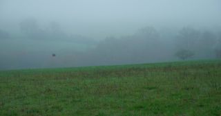 Link to Video | landscape, tree, Saarland, autumn, Germany, field, agricultural land, Marpingen, St. Wendel
