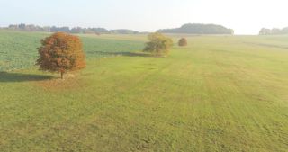 Link zum Video | Landschaft, Saarland, Herbst, Rosskastanien, ländlicher Raum, Deutschland, Luftaufnahme, Marpingen, Landkreis St. Wendel
