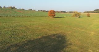 Link to Video | landscape, Saarland, autumn, Aesculus, rural area, Germany, aerial shot, Marpingen, St. Wendel
