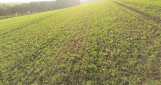 Link to Video | landscape, Saarland, autumn, rural area, Germany, aerial shot, upland