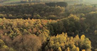 Link zum Video | Landschaft, Saarland, Herbst, ländlicher Raum, Deutschland, Luftaufnahme