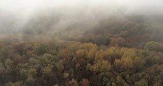Link to Video | landscape, Saarland, autumn, rural area, Germany, aerial shot