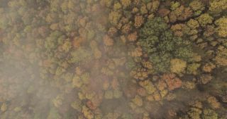 Link zum Video | Landschaft, Saarland, Herbst, ländlicher Raum, Deutschland, Luftaufnahme