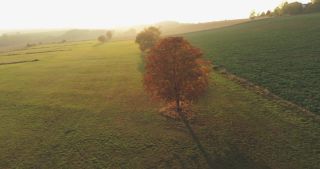 Link zum Video | Landschaft, Saarland, Herbst, Rosskastanien, ländlicher Raum, Deutschland, Luftaufnahme, Marpingen, Landkreis St. Wendel