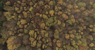 Link to Video | landscape, Saarland, autumn, rural area, Germany, aerial shot