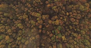 Link to Video | landscape, Saarland, autumn, rural area, Germany, aerial shot