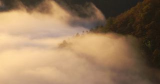 Link to Video | landscape, Saarland, autumn, Saar, Germany, sunrise, 4K resolution, 2020, fog, forest, Saarschleife, Mettlach, Merzig-Wadern