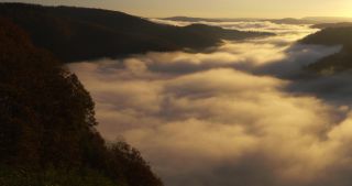Link to Video | landscape, Saarland, autumn, Saar, Germany, sunrise, 4K resolution, 2020, fog, forest, Saarschleife, Mettlach, Merzig-Wadern