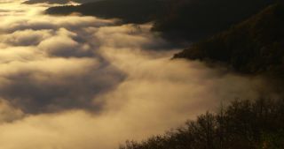 Link to Video | landscape, Saarland, autumn, Saar, Germany, sunrise, 4K resolution, 2020, fog, forest, Saarschleife, Mettlach, Merzig-Wadern