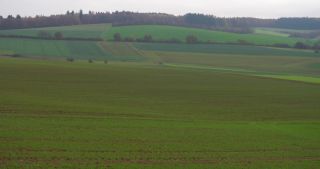 Link zum Video | Landschaft, Baum, Saarland, Herbst, Deutschland, Acker, Agrarland, Marpingen, Landkreis St. Wendel