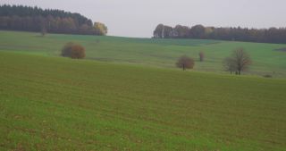 Link to Video | landscape, tree, Saarland, autumn, Germany, field, agricultural land, Marpingen, St. Wendel