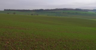 Link to Video | landscape, tree, Saarland, autumn, Germany, field, agricultural land, Marpingen, St. Wendel