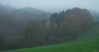Link to Video | landscape, Saarland, autumn, Germany, mist, forest, Marpingen, St. Wendel
