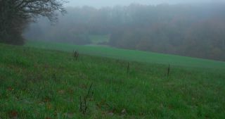 Link to Video | landscape, tree, Saarland, autumn, Germany, field, agricultural land, Marpingen, St. Wendel