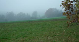 Link to Video | landscape, tree, Saarland, autumn, Germany, field, agricultural land, Marpingen, St. Wendel