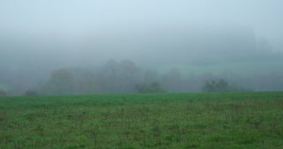 Link to Video | landscape, tree, Saarland, autumn, Germany, field, agricultural land, Marpingen, St. Wendel