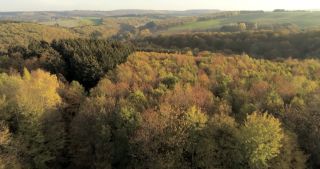 Link to Video | landscape, Saarland, autumn, rural area, Germany, aerial shot