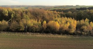 Link to Video | landscape, Saarland, autumn, rural area, Germany, aerial shot