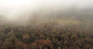 Link to Video | landscape, Saarland, autumn, rural area, Germany, aerial shot