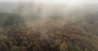 Link to Video | landscape, Saarland, autumn, rural area, Germany, aerial shot