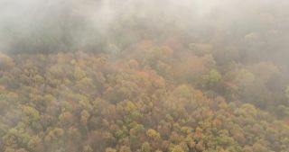 Link to Video | landscape, Saarland, autumn, rural area, Germany, aerial shot