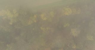 Link to Video | landscape, Saarland, autumn, rural area, Germany, aerial shot