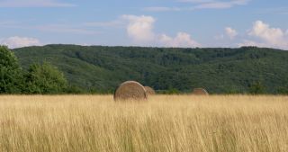 Link to Video | landscape, Saarland, summer, Germany, Saar-Hunsrück Nature Park, Peterberg, Nonnweiler, Nohfelden, St. Wendel