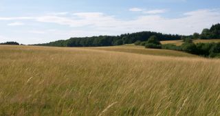 Link to Video | landscape, Saarland, summer, Germany, Saar-Hunsrück Nature Park, Peterberg, Nonnweiler, Nohfelden, St. Wendel