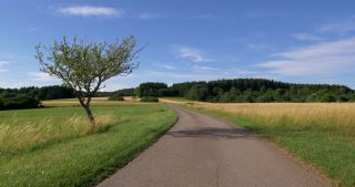 Link zum Video | Landschaft, Saarland, Sommer, Deutschland, Naturpark Saar-Hunsrück, Peterberg, Nonnweiler, Nohfelden, Landkreis St. Wendel