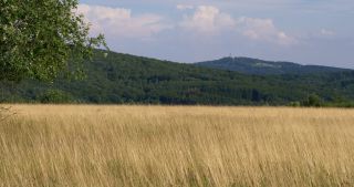 Link zum Video | Landschaft, Saarland, Sommer, Deutschland, Naturpark Saar-Hunsrück, Peterberg, Nonnweiler, Nohfelden, Landkreis St. Wendel