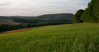 Link to Video | landscape, Saarland, summer, Germany, Saar-Hunsrück Nature Park, Tholey, St. Wendel