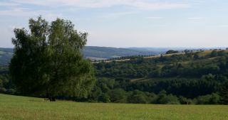 Link to Video | landscape, Saarland, summer, Germany, Saar-Hunsrück Nature Park, Peterberg, Nonnweiler, Nohfelden, St. Wendel