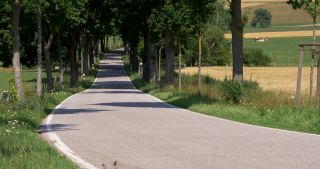 Link zum Video | Landschaft, Saarland, Sommer, Deutschland, Naturpark Saar-Hunsrück, Landkreis Saarlouis, Saargau