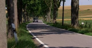 Link zum Video | Landschaft, Saarland, Sommer, Deutschland, Naturpark Saar-Hunsrück, Landkreis Saarlouis, Saargau