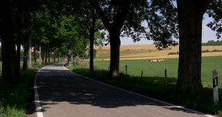 Link to Video | landscape, Saarland, summer, Germany, Saar-Hunsrück Nature Park, Saarlouis, Saargau