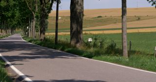 Link to Video | landscape, Saarland, summer, Germany, Saar-Hunsrück Nature Park, Saarlouis, Saargau