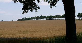 Link to Video | landscape, Saarland, summer, Germany, Saar-Hunsrück Nature Park, Saarlouis, Saargau