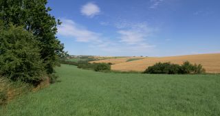 Link to Video | landscape, Saarland, summer, Germany, Saar-Hunsrück Nature Park, Saarlouis, Saargau