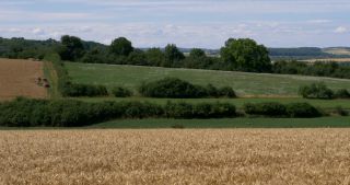 Link to Video | landscape, Saarland, summer, Germany, Saar-Hunsrück Nature Park, Saarlouis, Saargau