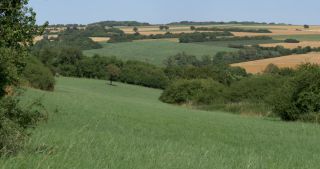 Link to Video | landscape, Saarland, summer, Germany, Saar-Hunsrück Nature Park, Saarlouis, Saargau
