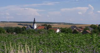 Link to Video | landscape, Saarland, summer, Germany, Saar-Hunsrück Nature Park, Saarlouis, Saargau