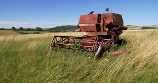 Link to Video | landscape, Saarland, summer, Germany, Saar-Hunsrück Nature Park, Saarlouis, Saargau