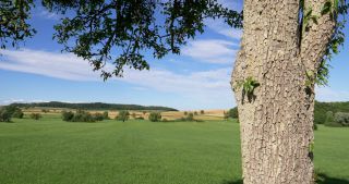 Link to Video | landscape, Saarland, summer, Germany, Saar-Hunsrück Nature Park, Saarlouis, Saargau