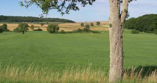 Link to Video | landscape, Saarland, summer, Germany, Saar-Hunsrück Nature Park, Saarlouis, Saargau