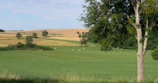 Link zum Video | Landschaft, Saarland, Sommer, Deutschland, Naturpark Saar-Hunsrück, Landkreis Saarlouis, Saargau