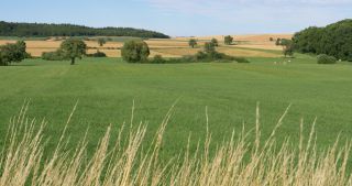 Link to Video | landscape, Saarland, summer, Germany, Saar-Hunsrück Nature Park, Saarlouis, Saargau